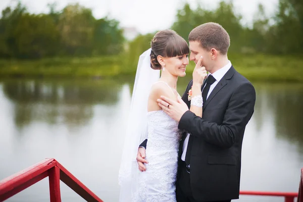 Foto pernikahan pengantin pria dan wanita di taman — Stok Foto