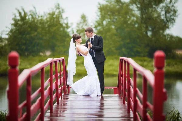 Ευτυχισμένη νύφη και τον γαμπρό σε μια ξύλινη γέφυρα στο πάρκο στο γαμήλ το — Φωτογραφία Αρχείου