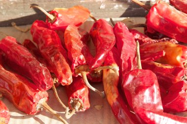 Cayenne pepper (Capsicum annuum)