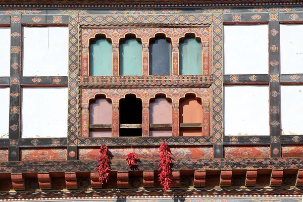 Finestra e pepe di Caienna (Capsicum annuum), Bhutan — Foto Stock