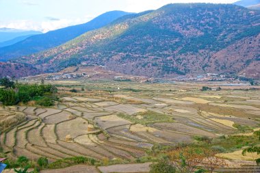 Teraslanmış farmaland, Paro, Bhutan