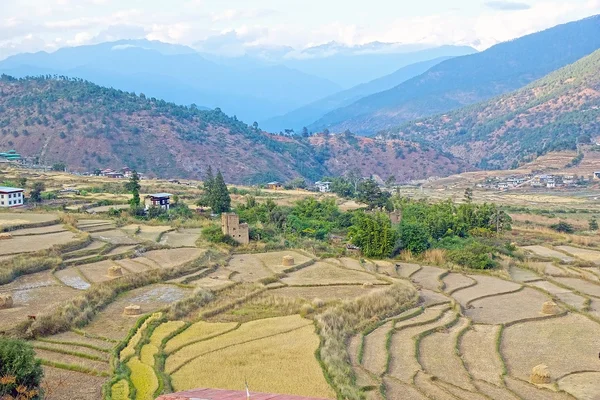 Terraced farmaland, Paro, Butão — Fotografia de Stock