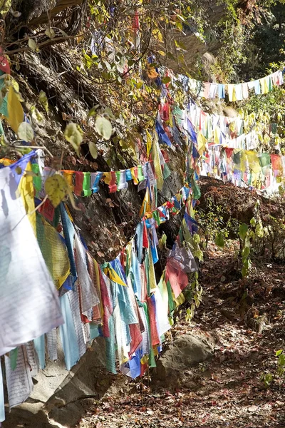 Bön flaggor, Paro, Bhutan — Stockfoto