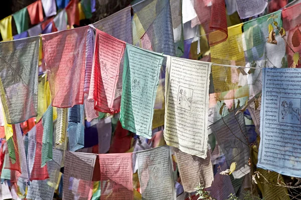 祈祷旗, 帕罗, 不丹 — 图库照片