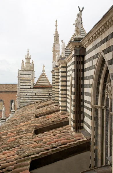 Katedrála v Sieně, Siena, Toskánsko, Itálie — Stock fotografie