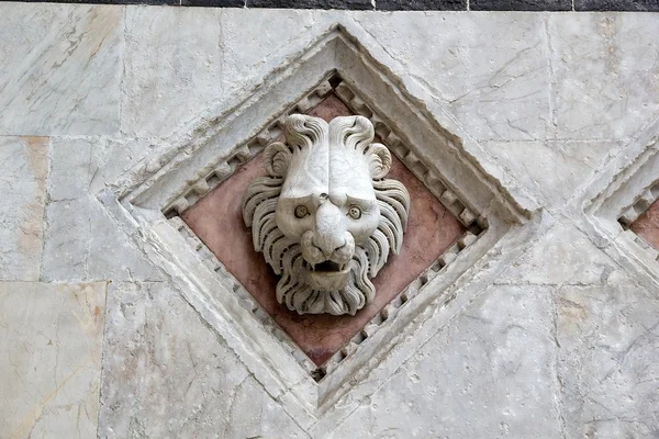 León tallado, Siena, Toscana, Italia — Foto de Stock
