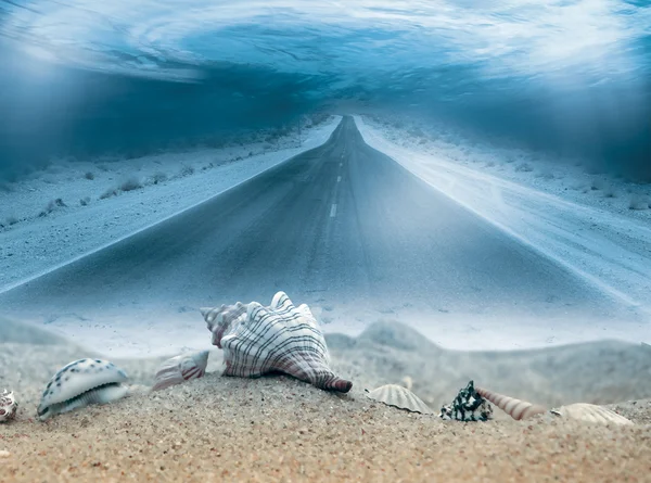 Strada subacquea e conchiglie — Foto Stock