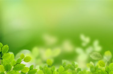 yaprakları ile doğal arka plan