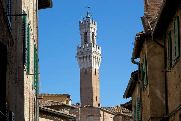 Torre del Mangia, Toscana, Siena, Italia — Foto de Stock