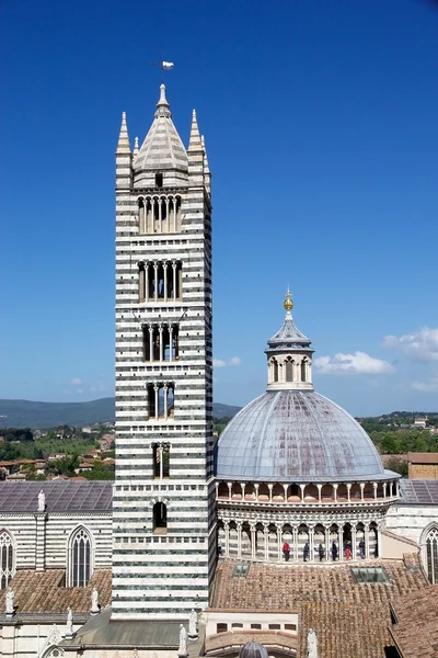 Catedral de Siena, Toscana, Siena, Italia — Foto de Stock