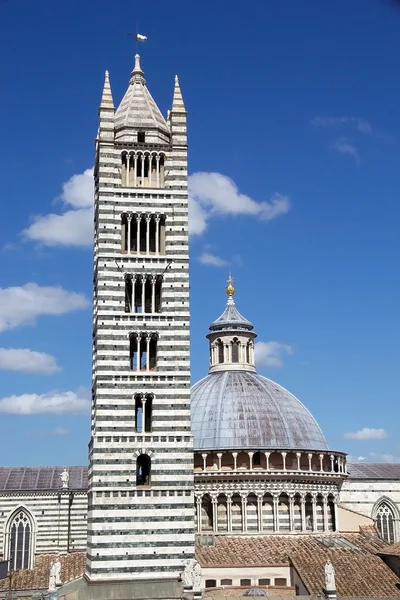 Catedral de Siena, Toscana, Siena, Italia — Foto de Stock