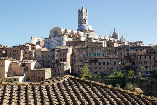 View of historic city of Siena, Tuscany, Italy — Stock Photo, Image