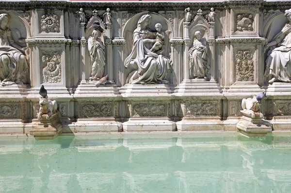 Fonte Gaia, Siena, Toskania, Włochy — Zdjęcie stockowe