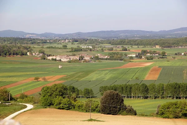 Monteriggioni, Toszkána, Olaszország — Stock Fotó