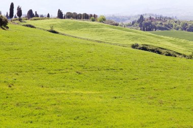 Tuscany manzara, Girit Senesi