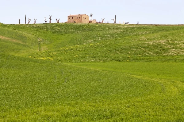 Toszkán tájban, Crete Senesi — Stock Fotó