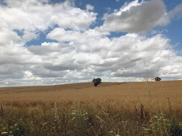 Úžasná Obloha Mrakem Nad Krajinou Poblíž Matery Basilicata Itálie — Stock fotografie