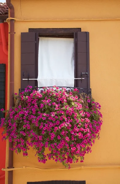 Коротке Кольорове Вікно Бурано Острів Венеціанській Лагуні Півночі Італії Венеція — стокове фото