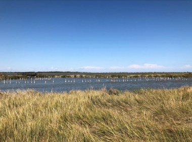 Valli di Comacchio, Comacchio 'nun balık havzası, kuzey İtalya' daki Emilia-Romagna bölgesinin Adriyatik kıyısına yakın Comacchio 'nun güneyinde yer alan bir dizi tuzlu su gölü. Bölge Parco del Delta del P bölgesinde yer almaktadır.