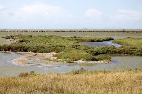 Valli Comacchio Cuenca Peces Comacchio Una Serie Lagunas Salobres Contiguas — Foto de Stock