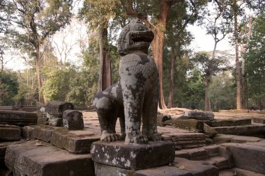 ta prohm Tapınağı