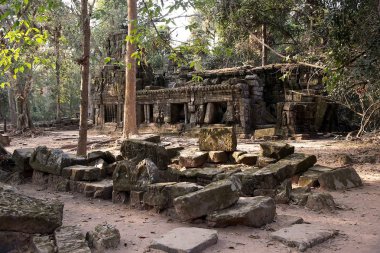 ta prohm Tapınağı