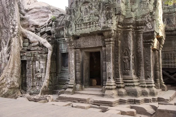 Ta Prohm temple — Stock Photo, Image