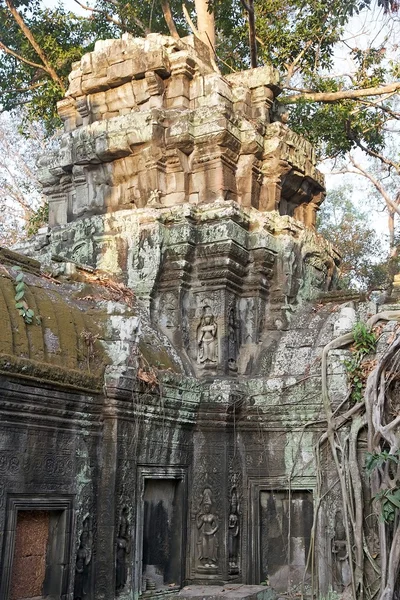 Ta templo prohm — Fotografia de Stock