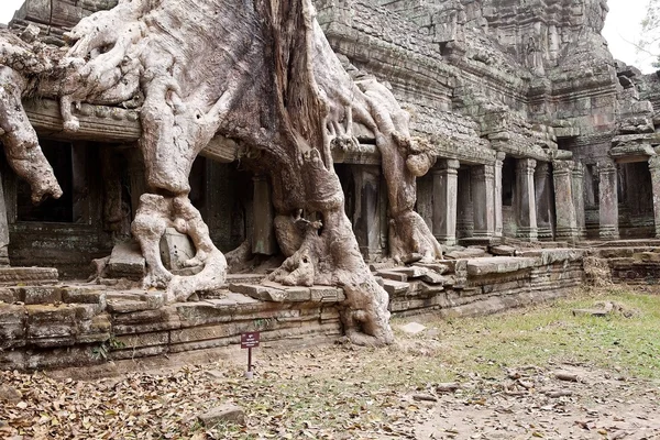 Preah Khan —  Fotos de Stock