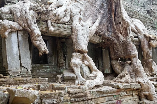 Preah Han — Stok fotoğraf