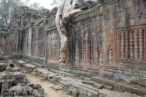 Preah  Khan — Stock Photo, Image