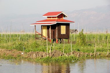 Stilt hut among the floating gardens on the Lake Inle Myanmar