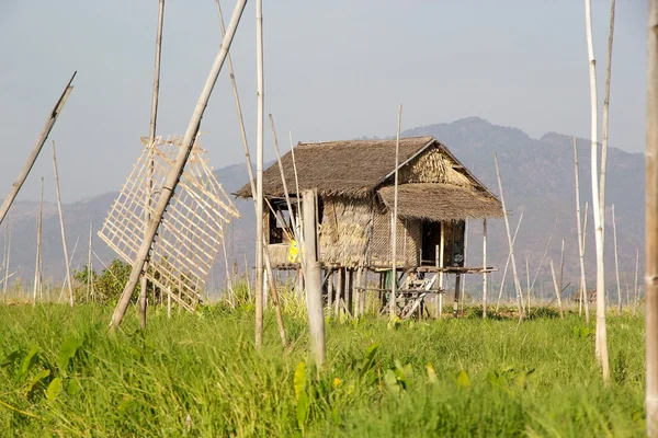 Stilt hut among the floating gardens on the Lake Inle Myanmar — стокове фото