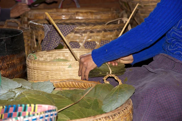Burmese woman is choosing the tobacco leaves Myanmar — Stock fotografie