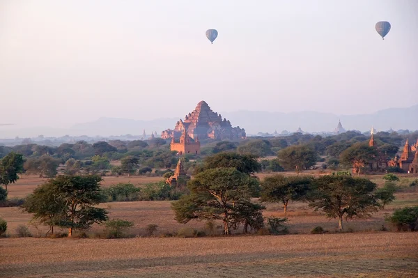 Palloncini d'aria calda sulle rovine di Bagan, Myanmar Immagine Stock