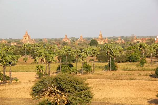 Ruinas de Bagan, Myanmar —  Fotos de Stock