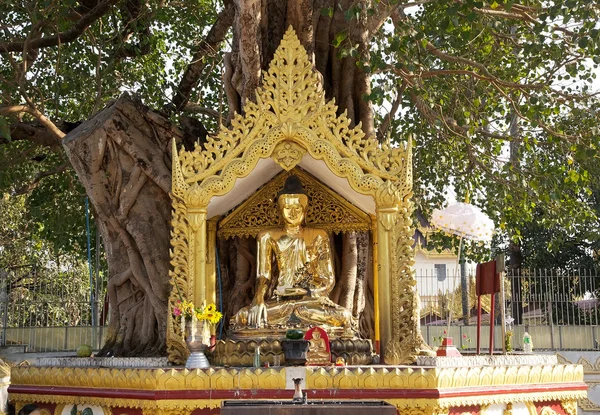 Shwedagon Pagoda, Yangon, Myanmar — Stock Photo, Image