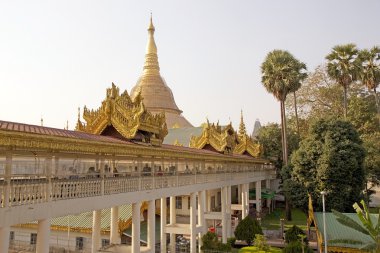shwedagon pagoda, yangon, myanmar