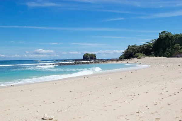 Nyfikna Fanihy, Madagaskar — Stockfoto