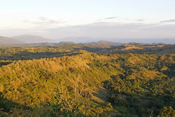 Vlezlý být, Madagaskar — Stock fotografie