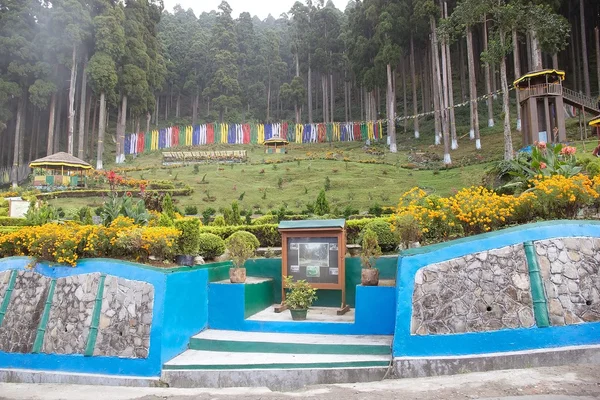 Bandiere di preghiera nella foresta, Darjeeling, India — Foto Stock