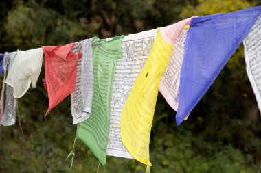 Dua bayrakları, Bhutan