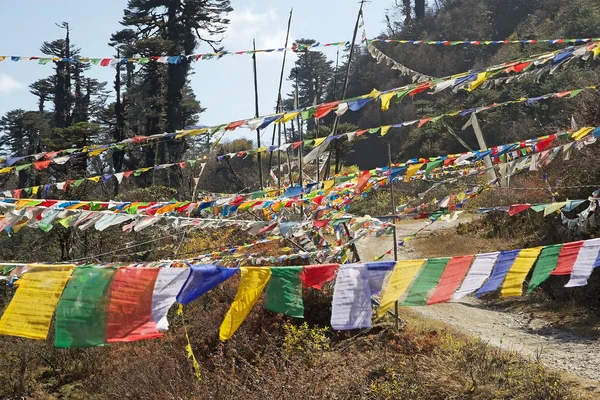 Bandiere di preghiera allo Yutong La Pass, Bhutan — Foto Stock