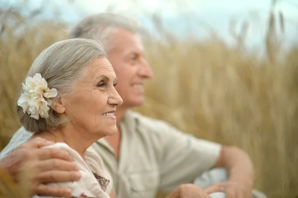 Happy senior couple in summer — Stock Photo, Image