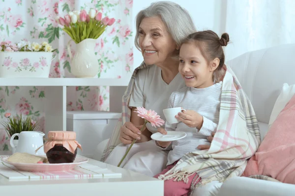 Senior vrouw met kleindochter met thee — Stockfoto