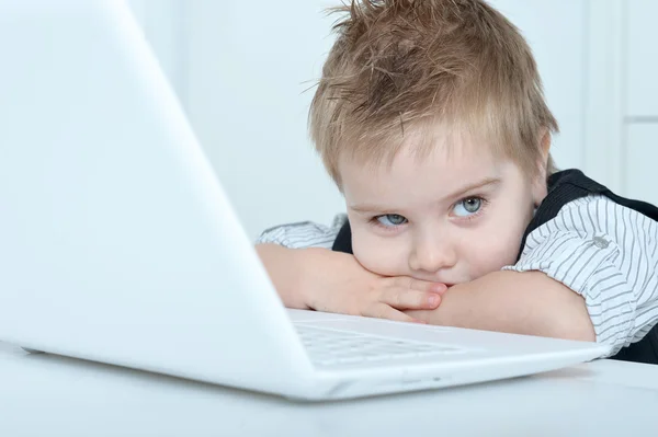 Niño pequeño usando portátil —  Fotos de Stock