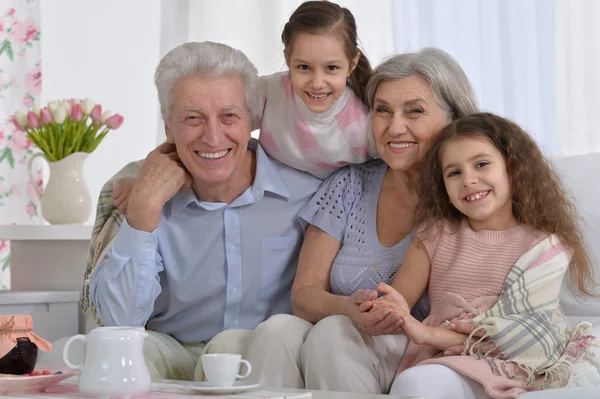 Senior couple with grandchildren  and laptop — Stock Photo, Image