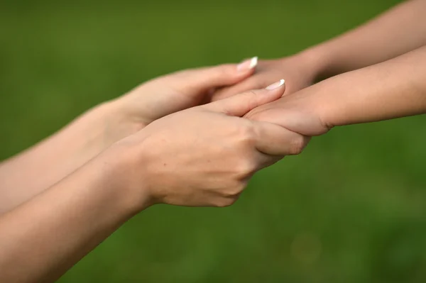 Zwei Hände auf grünem Baackboden, — Stockfoto