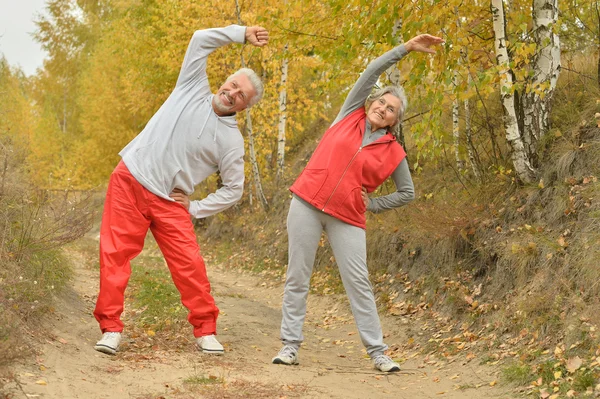 Fit senior couple exercising — Stock Photo, Image