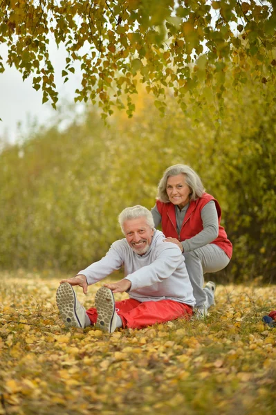 Fit senior couple exercising — Stock Photo, Image